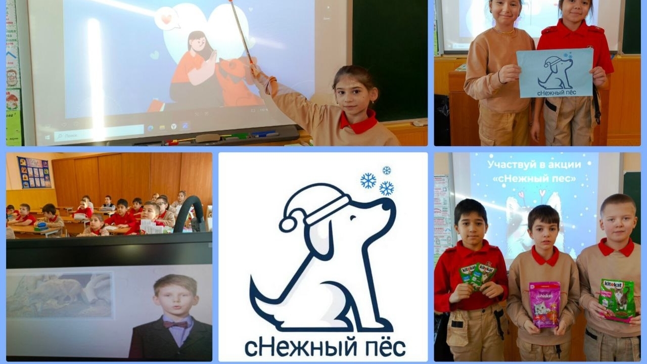 Сборукорма для бездомных животных 