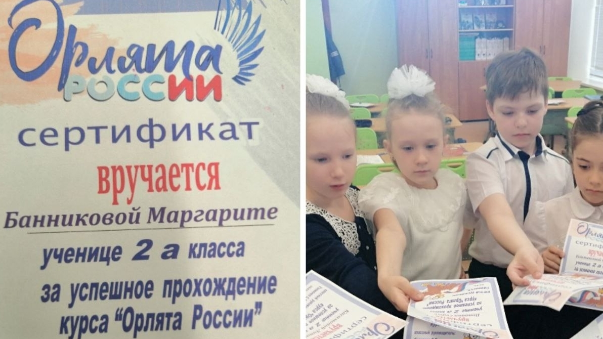 Прохождение курса 